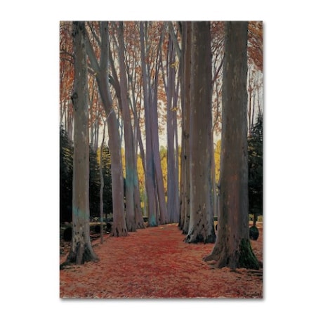Santiago Rusinol 'Avenue Of The Trees' Canvas Art,35x47